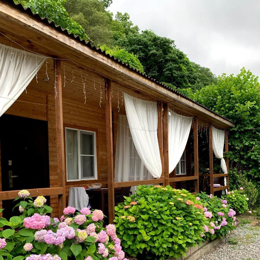 Guest House Ahan Gagry Exterior photo